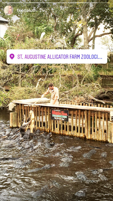 St. Augustine Alligator Farm Zoological Park