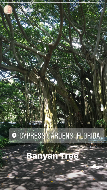 Cypress Gardens Florida