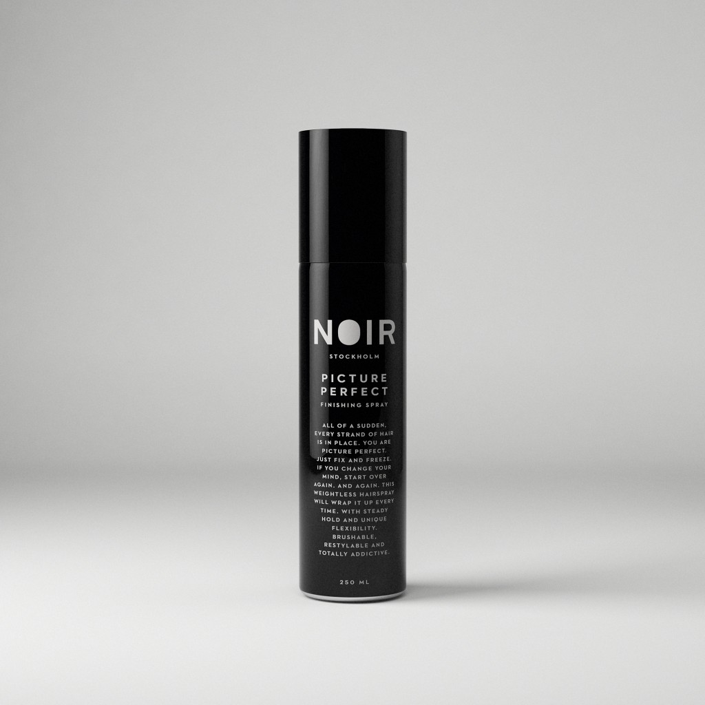 NOIR Picture Perfect - Finishing Spray