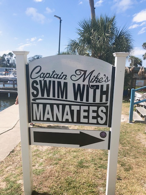 Captain Mike's swim with manatees